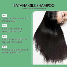 Batana Oil Shampoo with Rosemary Extract, Nourishing & Regenerating, Soft, Volumizing and Fluffy, Reduce Hair Loss Shampoo for Men & Women