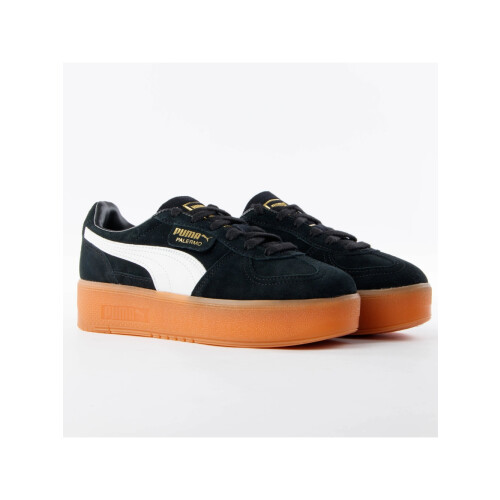 Puma (122) Palermo 1