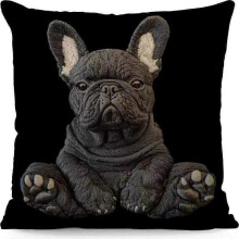 (1pcs, 25) Alpaca Pillow Case 45x45cm - Short Plush Sofa Cushion Cover - Home Decor