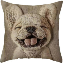 (1pcs, 10) Alpaca Pillow Case 45x45cm - Short Plush Sofa Cushion Cover - Home Decor