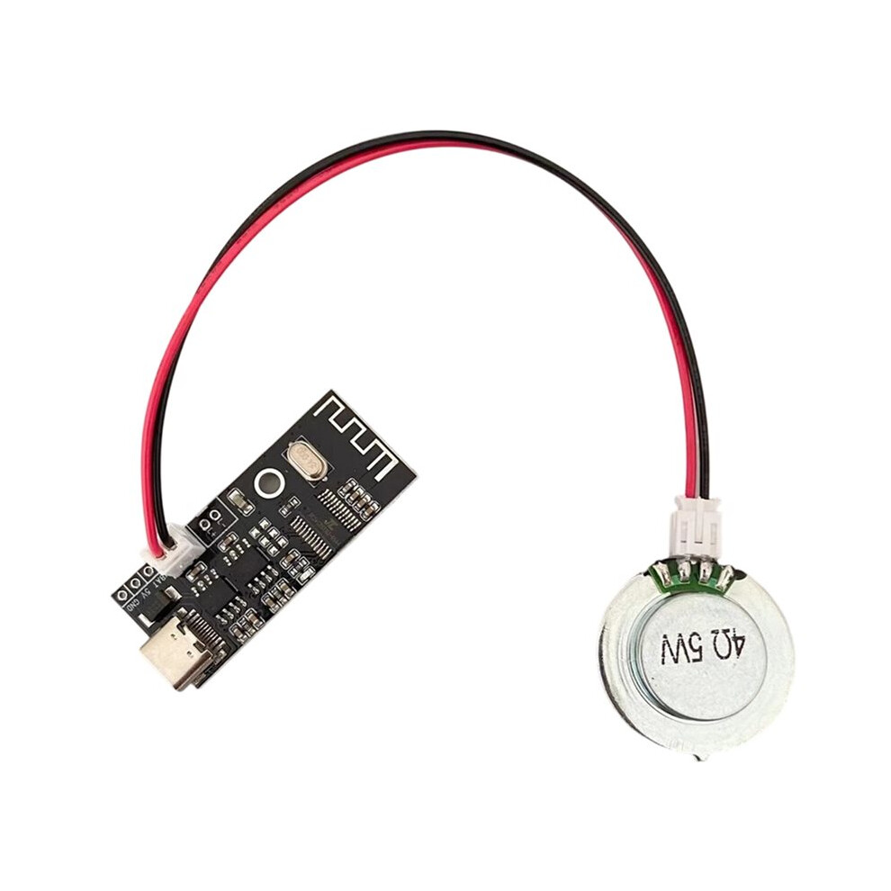 4Ohm 5W Diy Speaker Bone Conduction Hidden Sound System Horn Resonance With Amplifier Board 1XSpeaker 6033239430960