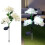Luzes solares de LED para jardim de rosas, decoração externa. 1