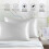 Cool-Touch Pillowcase Breathable Hypoallergenic 20x30in 6