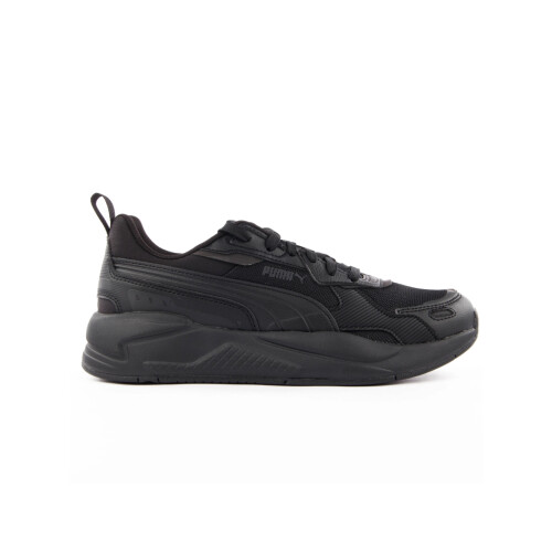 Puma (122) X Ray