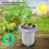 Tuya  Zigbee Soil Sensor Solar Temperature Humidity Soil Tester with Gateway Planting Temperature Humidity Meter 10