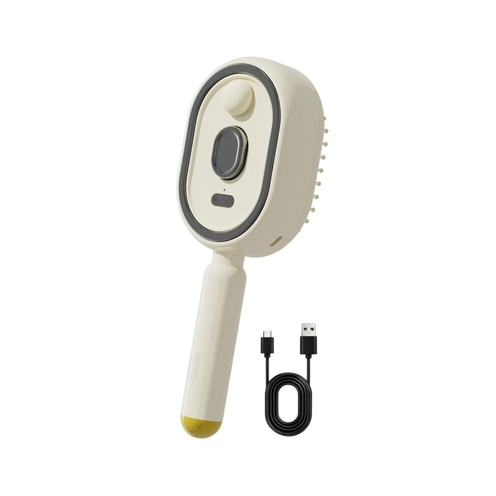 Electric Massage Hair Brush, Rechargeable Detangling Electric Steam Brushs for Hair for Reduce Frizz, Nourishes Hairs