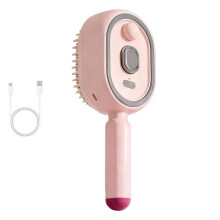 Electric Sprays Air Cushion Massage Comb Electric Steam Brushs for Hair Rechargeable Steam Hair Straightener B