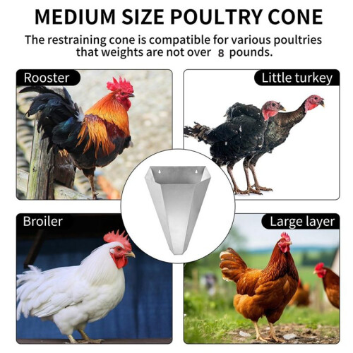 Chicken Restraining Cone for Poultry,Suitable for Layers,Broilers,Roasters,and Turkeys - Flat-Back Design, Easy to Clean 1