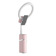 Anneau Lumineux LED Portable de 10 Pouces avec Trépied et Télécommande Réglable pour Diffusion en Direct Rose