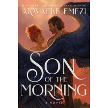 Son of the Morning A spicy and addictive Southern Gothic paranormal ro