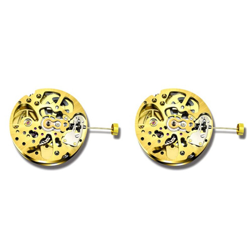 2X Gold Skeleton 2004 Movement Ordinary Pendulum Adjustment Radiation Pattern Fully Automatic Watch Movement