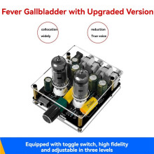 2X Audioversterker 6j3 Vacuümbuis met HIFI-Voorversterker -Ingang Galbufferluidspreker met Upgrade voor Doe-Het-Zelf Thuisbioscoop