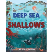 From Deep Sea to Shallows The Story of Oceans by Ben Hubbard Hardcover