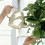 Ergonomisches, präzises Bewässerungsgerät mit langem-Grün 11