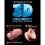 KING COCK - GODE TRIPLE DENSITÉ 19 CM 7