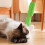 Siliconen katten Selfs Groomer Kattengezichtskrabbers-Groente 10