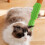 Siliconen katten Selfs Groomer Kattengezichtskrabbers-Groente 9