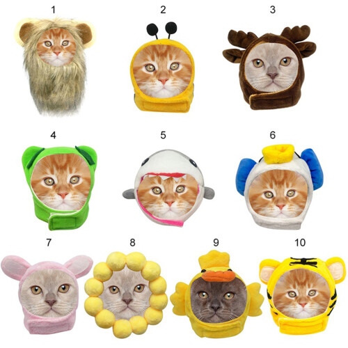 Cat Cosplay Hoed Huisdier Hoofdtooi 1