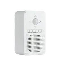 Wireless Doorbell Voice Announcement Alarm System Access Alarm Waterproof Store Entrance Welcome Doorbell