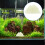 Glow Rocks Aquarium Decoratie Lichtgroen 1 Pack 8