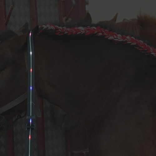 led halsband verstelbaar trekkoord 2
