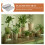 6St Plastic Schalen Lichtgewicht Beige Voor 6