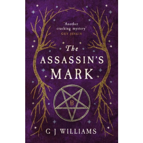 Assassins Mark by G J Williams Paperback Book