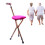 Folding Chair with Walking Stick Cane with Seat 4