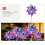 2 x Magical Holographic Rainbow Solar Pinwheel Lights 5
