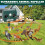 2 Pack Cat Repellent Ultrasonic Deterrent Solar with Motion Sensor and LED Light 7