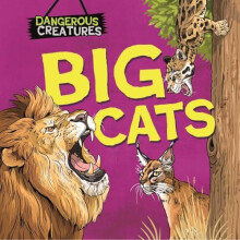 Dangerous Creatures Big Cats by Lynn HugginsCooper Hardcover Book
