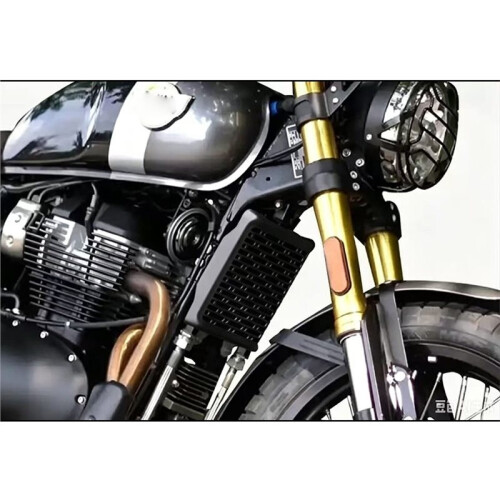 Motorcycle Radiator Guard for  Bear 650 (2025-) 1