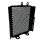 Motorcycle Radiator Guard for  Bear 650 (2025-) 6