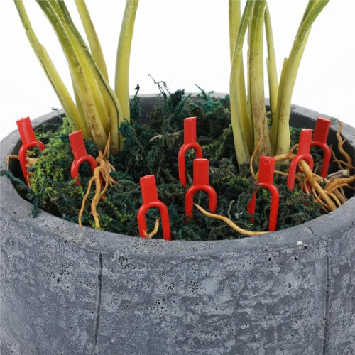 200 Pezzi Spilli per Piante, Spilli di Supporto per Fragole In Plastica per Piante da Interno, Clip per Piante A Forma di U Riutilizzabili 1