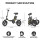Hidoes C5 14" Folding E-Bike 350W 36V Battery 6