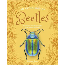 An Anthology of Beetles A Collection of Brilliant Beetles from Around