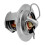 38000-0007S Thermal Regulator for Mastertemp Starite Pool Heater Temp Regulator 2
