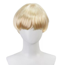 (C) Man Fluffy Versatile Mushroom Head Anime Cosplay Headwear Nature Short Hair Wig Man Daily Clothing Match Colorful Bob Haircut