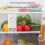 Small Refrigerator Smart Ozoner Kitchen Daily Necessities Storage Shoe Cabinet 4
