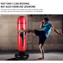 Freestanding Punching Bag for Adults, 170 cm, Fast Rebound, for Boxing, Karate and Taekwondo Training, Stress Relief, Re