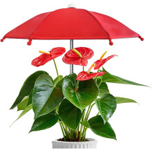 (Red, -) Pflanzenschirm für Outdoor Pflanzen, Sonnenschutz, Tragbarer Wasserdichter Schirm für Beete
