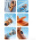 (Orange#Upgraded, -) Παιχνίδι για σκύλους, καρπούζι 3