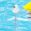 (mummy duck, -) Καθαριστικό ανοξείδωτου χάλυβα 100g, αφαίρεση γρατσουνιών 3