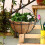 (14 Inch Half Wall Coat, -) Μαρμάρινο νυχτερινό φως, LED 3