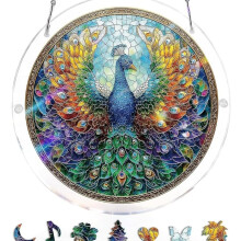 (Multicolor-8, 8in) Μαξιλαροθήκη, Ενήλικες