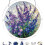 (Multicolor-7, 6in) Μαξιλαροθήκη, Ενήλικες 1