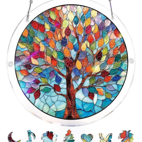(Multicolor-5, 8in) Μαξιλαροθήκη, Ενήλικες
