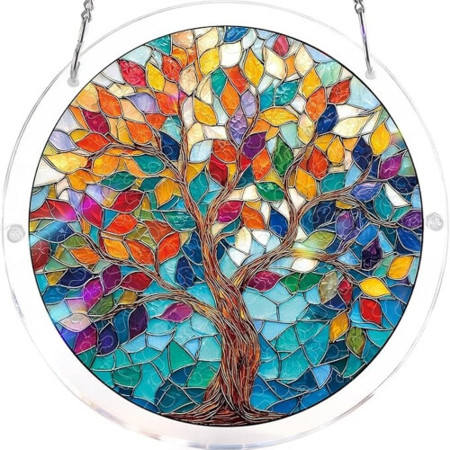 (Multicolor-1, 6in) Μαξιλαροθήκη, Ενήλικες