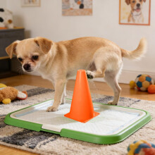 (Orange, -) Hundetraining Pfosten, 23cm, Kunststoff, Leicht, Für Welpen, Indoor Outdoor
