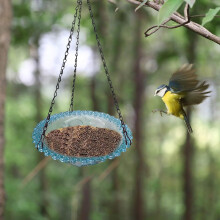 (Blue, -) Mangeoire bain oiseaux, verre, pour jardin, patio